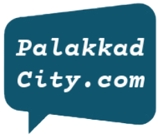 palakkadcity.com